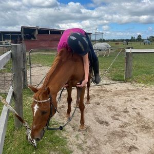 Meet your Posher, Ava